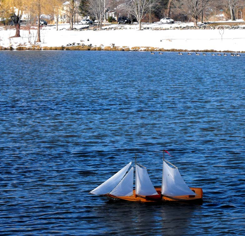 RC toy sailboat