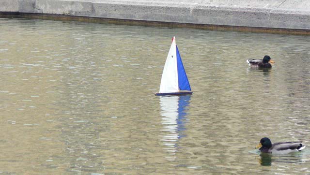 rc model sailboat