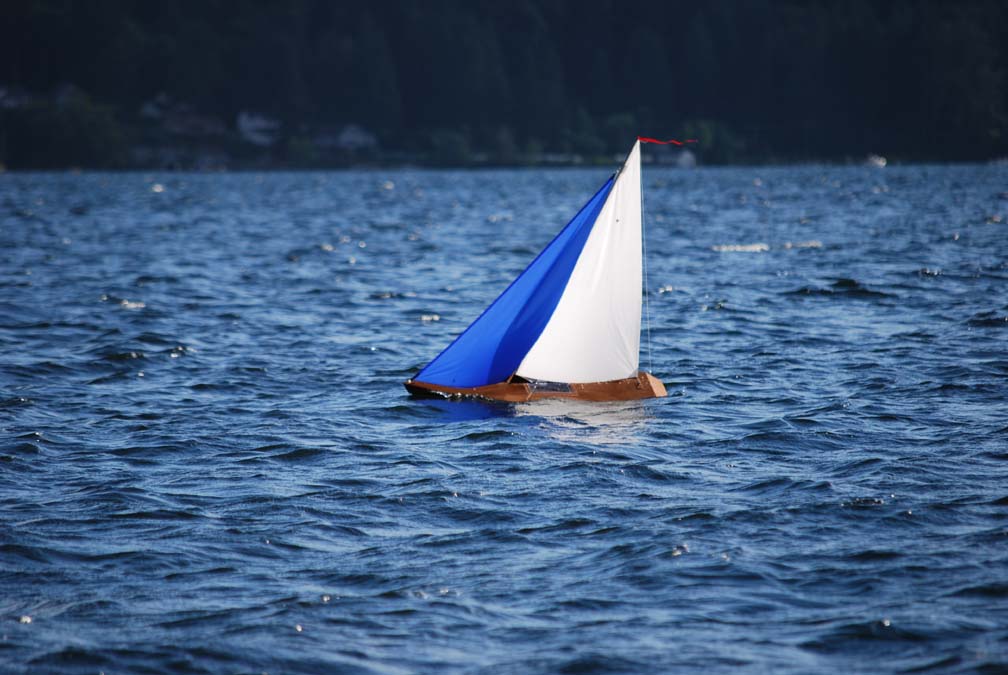 remote control sailing model