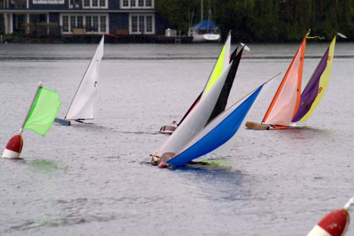 model sailboat regatta